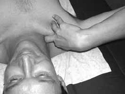 The Muscles On The Side Of The Neck 51