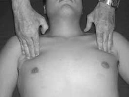 The Pectorals 70