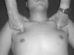 The Pectorals 71