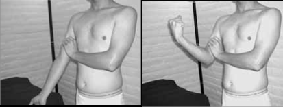 The Pectorals 72