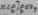 Cestrites Vinum 1962