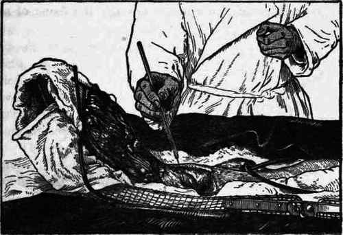 Fig. 66.   Taking a specimen.