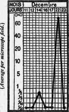 Fig. 78. Burn. Curve showing a reinfection of cutaneous origin upon a surface wound previously aseptic.