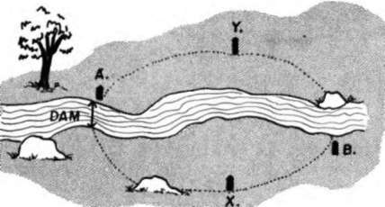 Build A Dam