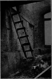A Poorly Constructed Ladder.