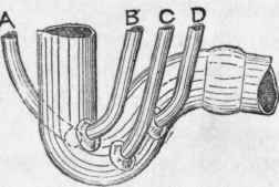 Soil Pipes Continued 370
