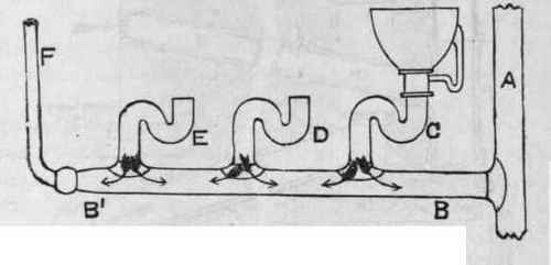 Fig. 113. Showing bad Branching.