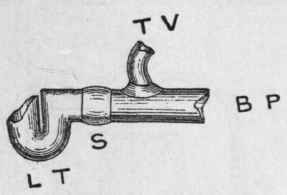 Fig. 138. Showing Connection of Lead Trap to Lead Soil Pipe.