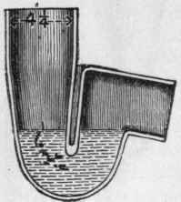 Fig. 82.   Section.