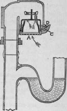 Fig. 96.   Section of the 