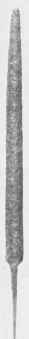 Sixteenth Century Tools.
