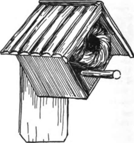 Rustic Birdhouse
