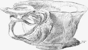 Milk white Jade Cup, cut to the form of a flower. Ancient Chinese work. (Paris Geological Museum.)