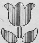 Ordinary Forms of Tulip.