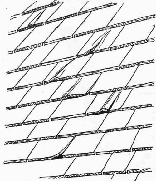 A curled shingle is actually a sick shingle which may or may not recover without treatment