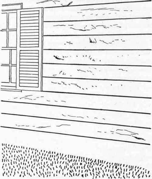 Exterior walls bear the brunt of all weather