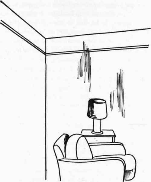 Stained walls and spotted ceilings can ruin the appearance of a well furnished room