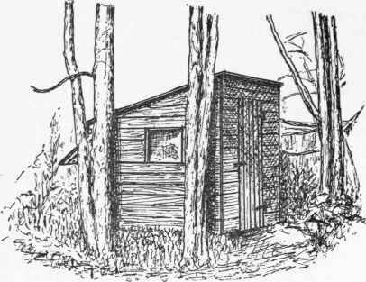A Play House Or Play Store 373