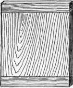 Doors And Panels 522