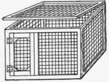 Houses For Animals 180