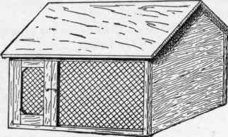Houses For Animals 184