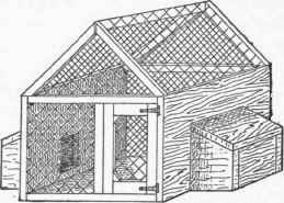 Houses For Animals 187