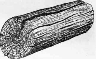 Wood 14
