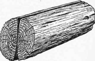 Wood 15