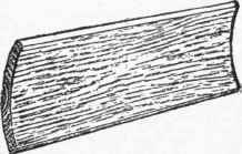 Wood 21