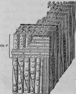 Timber And Its Preparation For Use Timber 391