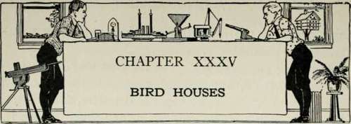 Bird Houses 416