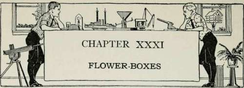 Flower Boxes 385