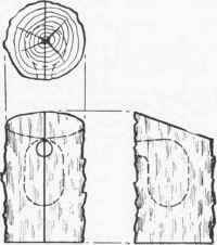 Introductory Statement 183