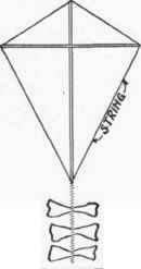 Introductory Statement 24