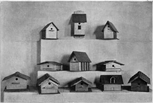 Fig. 195. Wren houses: entrance for birds must be � in diameter, so that nothing larger than a wren can enter.