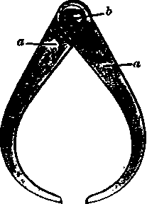 Outside calipers. a, legs; b, joint.
