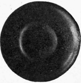 Number XXII Pin Tray 218