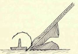 Fig. 47.   Result of Using Plane with Improperly Adjusted Cap Iron.