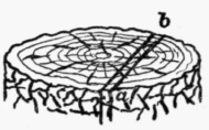 Page 16, Fig. 7.   The end of the block should show concentric rings, not a spiral. It is shown correctly in this figure