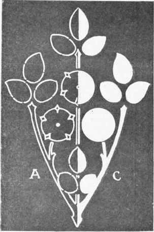 Fig. 2. Diagram illustrating method of inlaying leaves, etc.