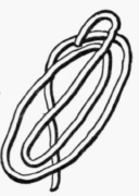 The Materials You Need 100