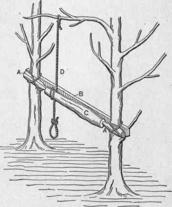 Fig. 1.   The Old Tree Lathe