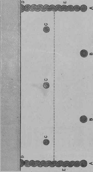 Fig. 159.   Ground Plan of Lean to Summer house.