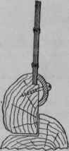 Fig. 187.   Securing Glass to Rustic Casement