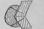 Fig. 23.   Section of Twigs at Angles of Vase.