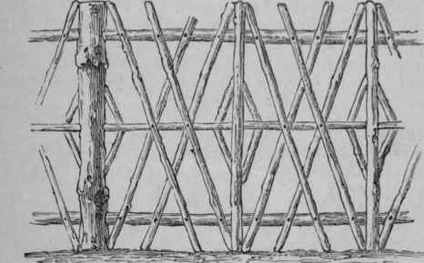 Gates And Fences 72