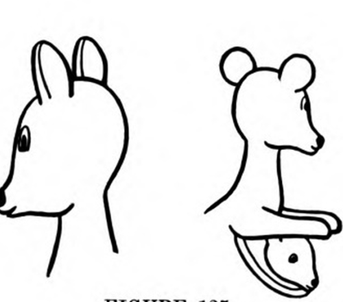 How To Whittle a Mama And a Baby Kangaroo 149