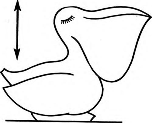 How To Whittle a Pelican 20