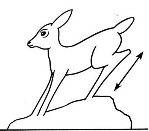 How To Whittle a White Tailed Deer 141