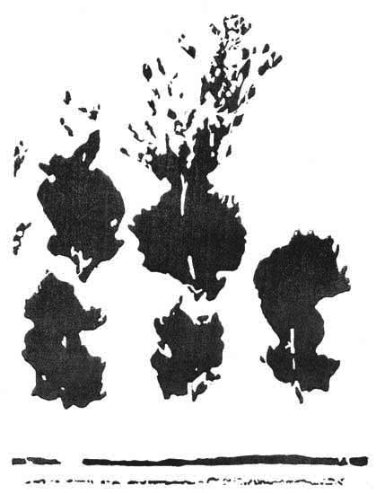 Plate XIV